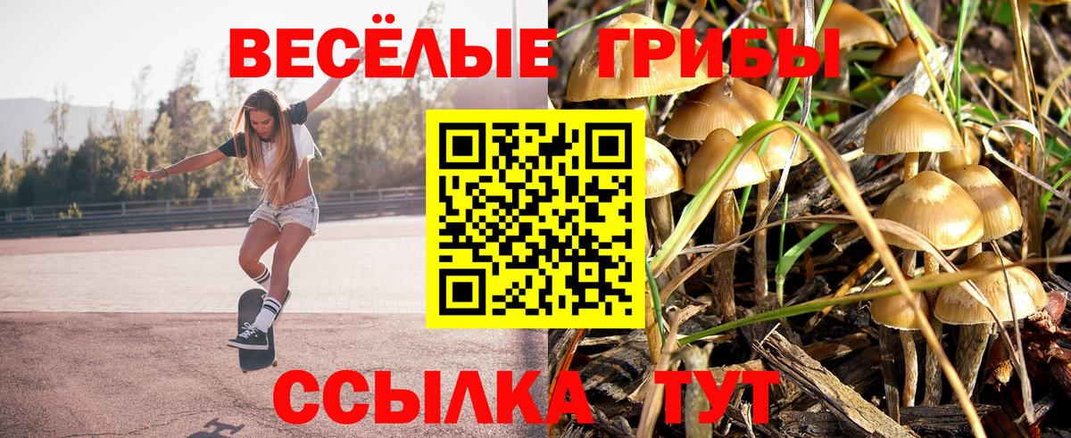 Советская Гавань  Галлюциногенные грибы Cubensis  купить закладку  Псилоцибиновые грибы мухоморы  Вход с VPN 