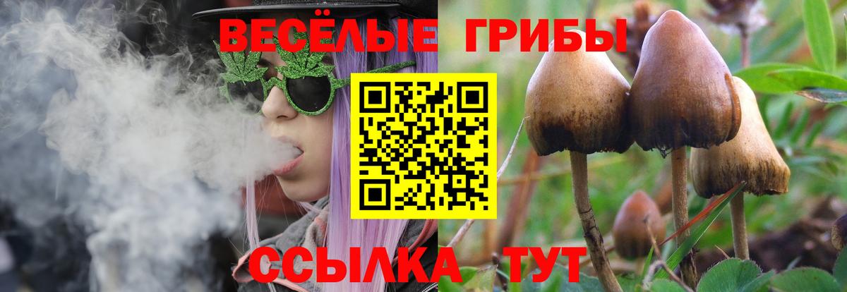 Псилоцибиновые грибы мицелий Советская Гавань